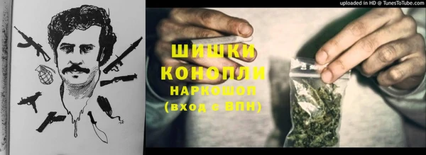 ПСИЛОЦИБИНОВЫЕ ГРИБЫ Алексеевка