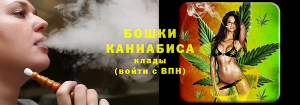 ПСИЛОЦИБИНОВЫЕ ГРИБЫ Алексеевка