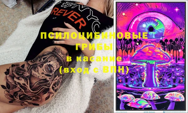 ПСИЛОЦИБИНОВЫЕ ГРИБЫ Алексеевка