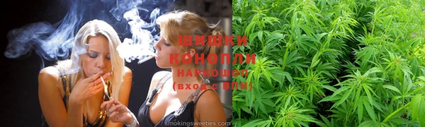 ПСИЛОЦИБИНОВЫЕ ГРИБЫ Алексеевка